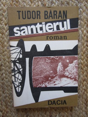 Santierul - Tudor Baran foto