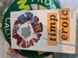 Timp eroic vintage