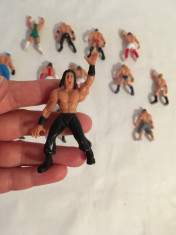 Lot 13 figurine WWE, 5cm, plastic, lupte sport foto