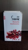 BASTARDA ISTANBULULUI - ELIF SHAFAK