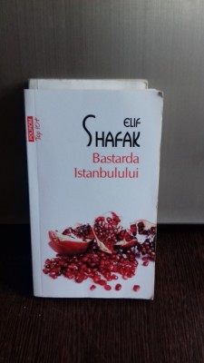 BASTARDA ISTANBULULUI - ELIF SHAFAK foto