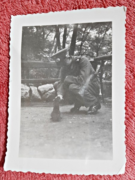 Fotografie, ofiter cu pisica, perioada interbelica