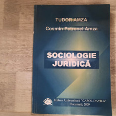 Sociologie juridica de Tudor Amza,Cosmin P.Amza