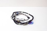 Cablaj ușă st&acirc;nga față PORSCHE 911 991 2021 OEM: 9P1.971.035.G,9P1971035G 13999363