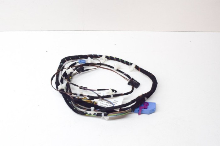 Cablaj ușă st&acirc;nga față PORSCHE 911 991 2021 OEM: 9P1.971.035.G,9P1971035G 13999363