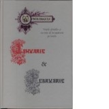 Proloagele. Vietile sfintilor si cuvinte de invatatura pe lunile ianuarie si februarie - Irineu Mitropolitul Olteniei
