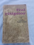 Cumpara ieftin Radu tudoran-fiul risipitor