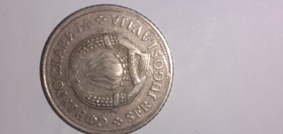 monedele din imagine foto