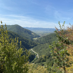 Vând 47 de hectare de pădure mixtă (stejar și fag) - Transilvania