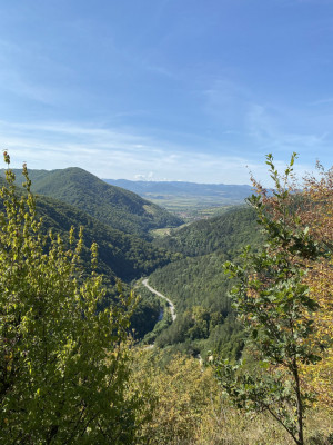 V&amp;acirc;nd 47 de hectare de pădure mixtă (stejar și fag) - Transilvania foto