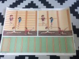 plansa didactica sala de gimnastica scoala elevi ed. didactica si pedagogica RSR