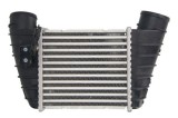 Radiator intercooler SEAT LEON (1M1) (1999 - 2006) THERMOTEC DAA023TT