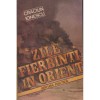 Craciun Ionescu - Zile fierbinti in Orient - 128650