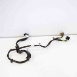 Cablaj ușă dreapta spate TESLA MODEL X 2018 OEM: 1063406-00-F 11194911