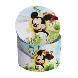 Cumpara ieftin Cutie Transport Trusou Botez, Model Mickey Mouse - CTB13