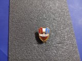 Insigna Energia Petrosani