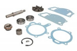 Kit reparatie pompa apa, ball joint; bearings; gaskets; ring; rotor assy; sleeve compatibil: URSUS 4512, 4514; AKTIV FISCHER M 800; ALLIS CHALMERS 715