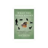 What the Robin Knows: How Birds Reveal the Secrets of the Natural World
