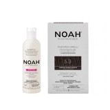 Set Color &amp; Protect Saten Auriu 5.3 390 mililitri Noah