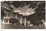 CPIB 15717 CARTE POSTALA - SINAIA, CASA DE ODIHNA &quot;POSTAVRUL&quot;, RPR, Circulata, Fotografie