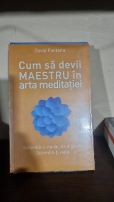 Cum sa devii maestru in arta meditatiei - David Fontana foto