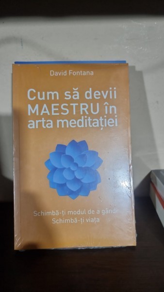 Cum sa devii maestru in arta meditatiei - David Fontana
