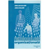 Emilian Bujor, Anca Bujor - Psihosociologie organizationala - 127229