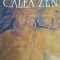 Calea Zen , Alan Watts