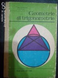 Geometrie si trigonometrie manual pentru anul I liceu-Laura Constantinescu