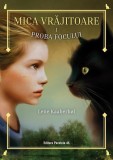 Proba focului (Vol. 1) - Paperback brosat - Lene Kaaberb&oslash;l - Paralela 45