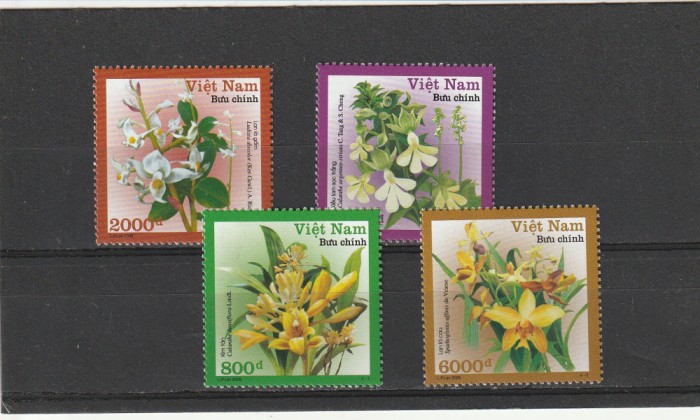 Flora,orhidee,Vietnam.
