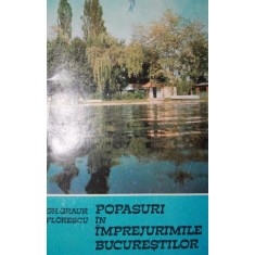 POPASURI IN IMPREJURIMILE BUCURESTILOR