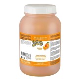 Sampon Iv San Bernard Orange, pentru caini si pisici, 3.25l