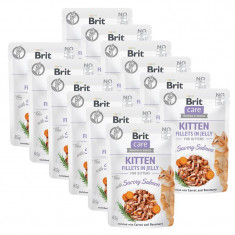 Brit Care Cat Kitten Fillets in Jelly with Savory Salmon 12 x 85 g