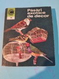 pasari exotice de decor - din anul 1980