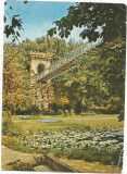 Carte postala-CRAIOVA-Podul suspendat din Parcul Poporului, Necirculata, Printata
