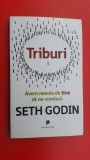 Triburi Avem nevoie de tine sa ne conduci- Seth Godin