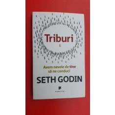 Triburi Avem nevoie de tine sa ne conduci- Seth Godin