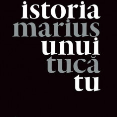 Istoria unui tu - Paperback brosat - Marius Tucă - Art
