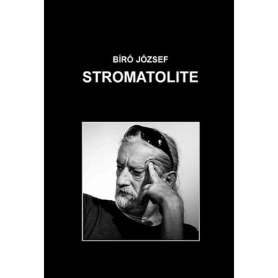 Stromatolite - B&amp;iacute;r&amp;oacute; J&amp;oacute;zsef foto