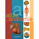 Atlas de anatomie - dr. adolfo cassan, Steaua Nordului