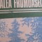 Valea Frumoasei - Mihail Sadoveanu