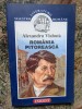 Alexandru Vlahuta - Romania pitoreasca