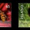 ISLANDA 2006 INSECTE BUBURUZE VIESPI