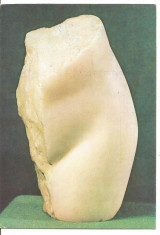 carte postala-Constantin Brancusi-Tors foto