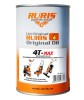 Ulei Motor Semisintetic Ruris 4TT, 600ml, Multigrad, Motoare 4 Timpi