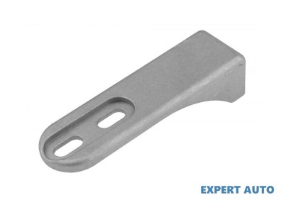 Limitator usa Citroen Jumper III (2006-&amp;gt;) #1 foto