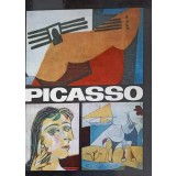 PICASSO-ILEANA SOLDEA-240316