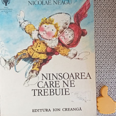 Ninsoarea care ne trebuie Nicolae Neagu