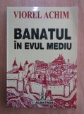 Viorel Achim,Banatul in Evul Medi